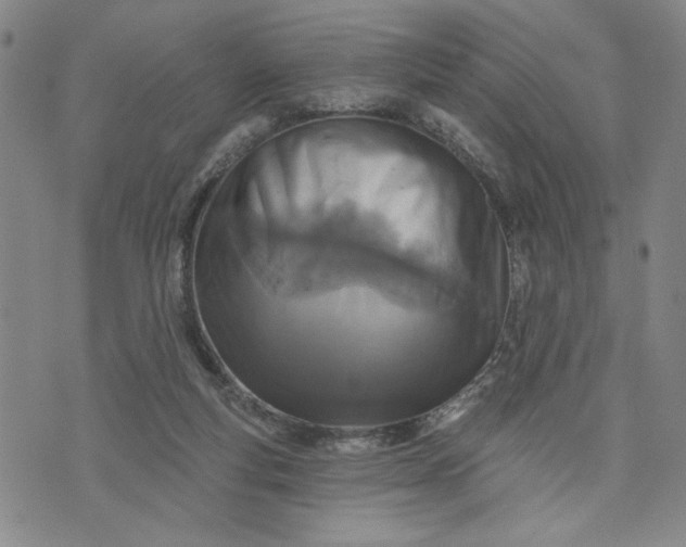 X0000071820163200607141644