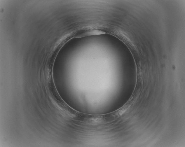 X0000071820164200607141644