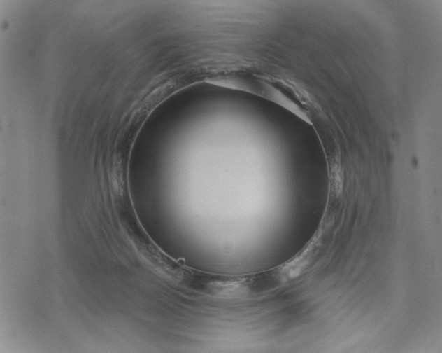 X0000071820170200607141644