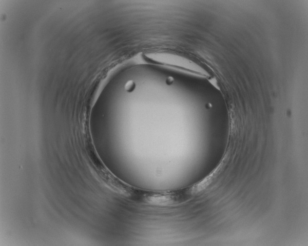 X0000071820171200607141644