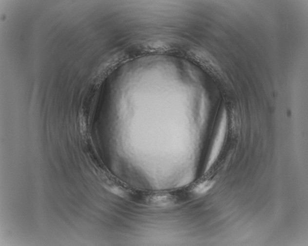 X0000071820173200607141644