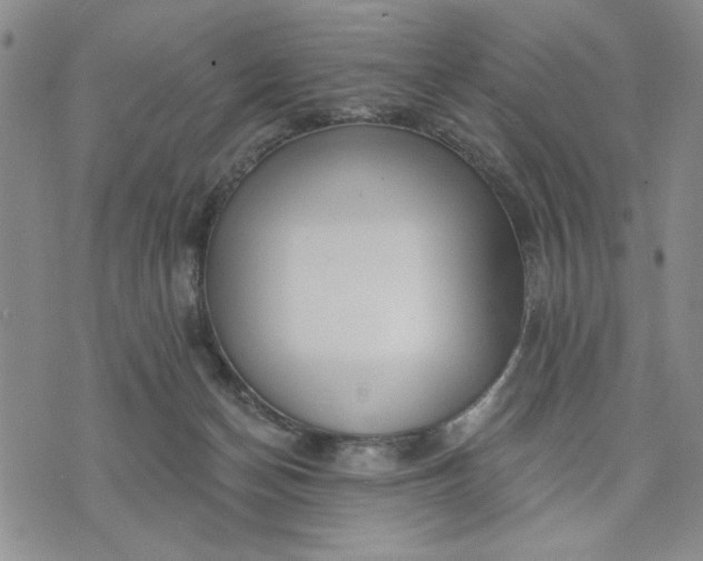 X0000071820174200607141644