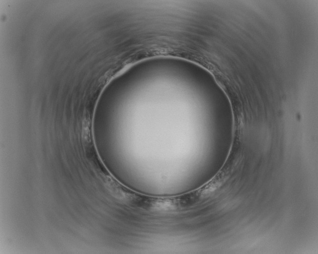 X0000071820177200607141644