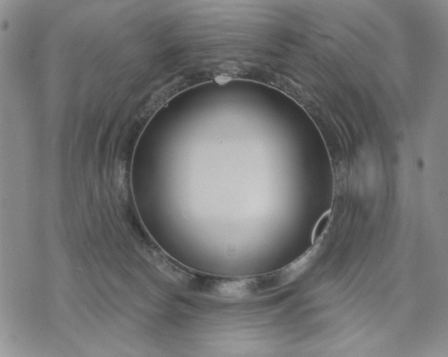 X0000071820178200607141644