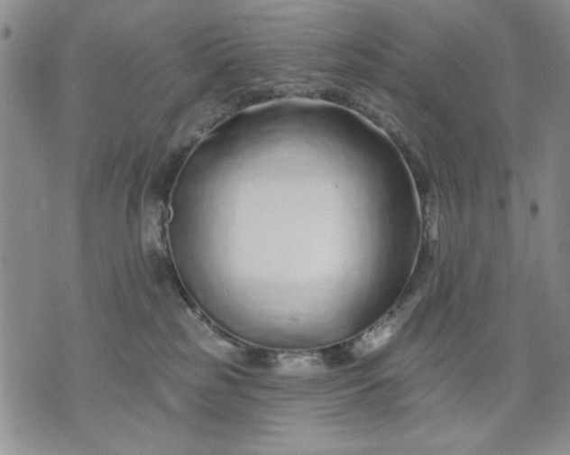 X0000071820185200607141644