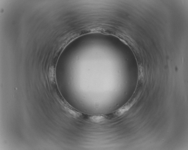 X0000071820189200607141644