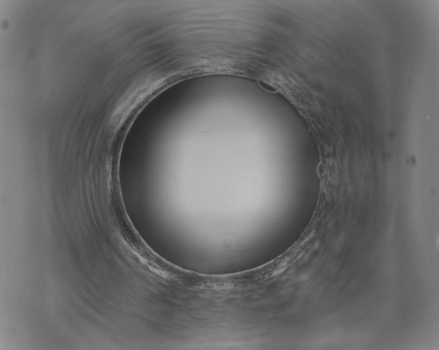 X0000071820194200607141644