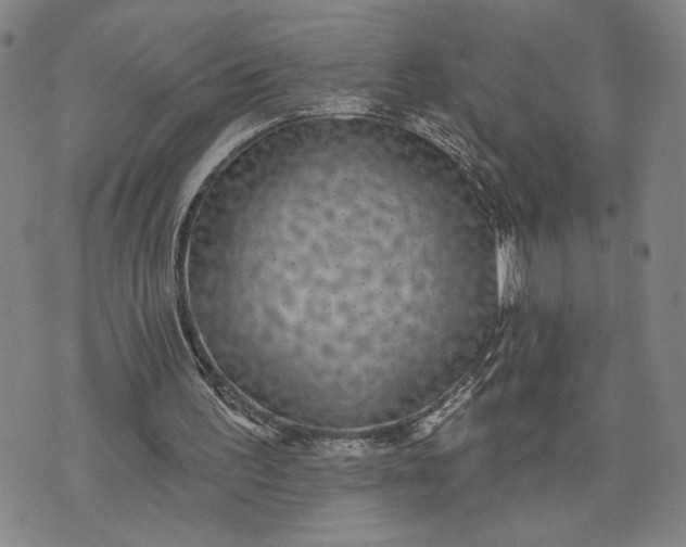 X0000071820195200607141644
