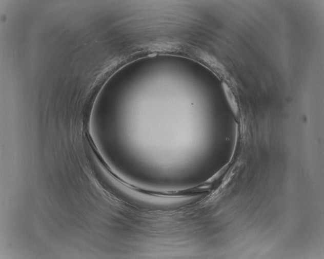 X0000071820201200607141644