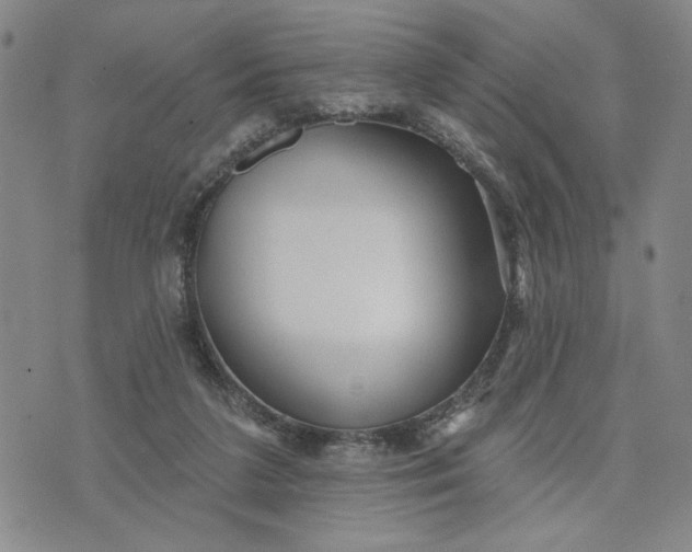 X0000071820211200607141643