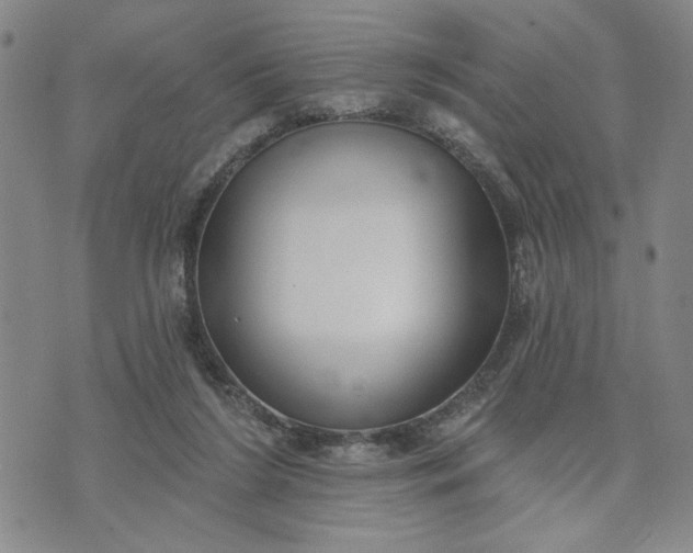 X0000071820212200607141643