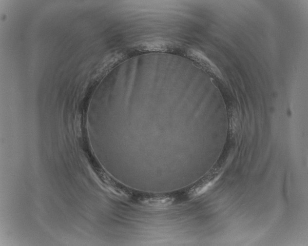 X0000071820213200607141643