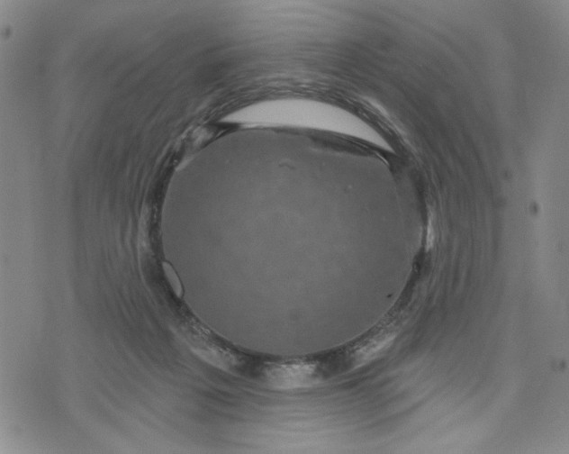 X0000071820217200607141643