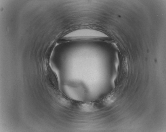 X0000071820232200607141643