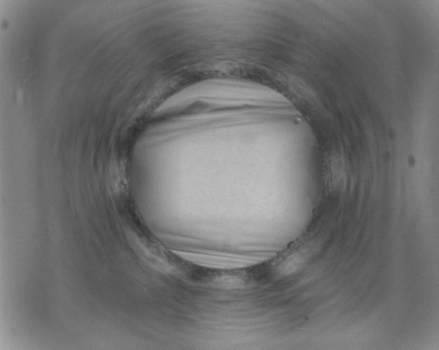 X0000071820236200607141643