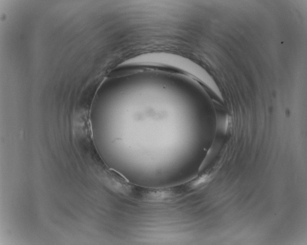 X0000071820237200607141643