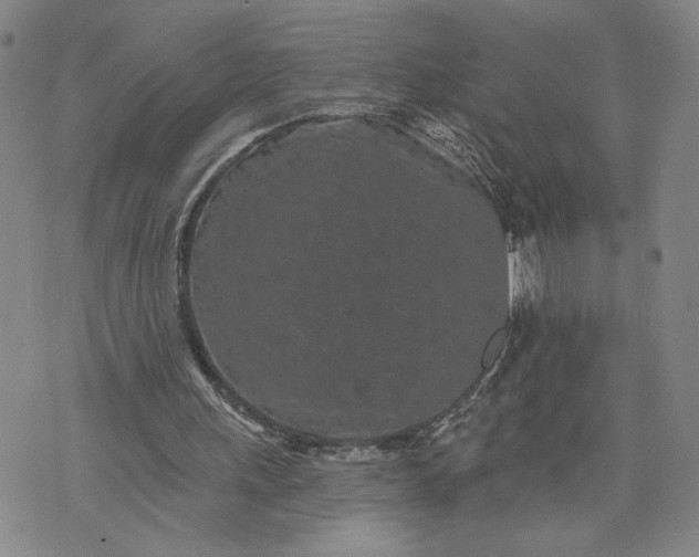 X0000071820243200607141642