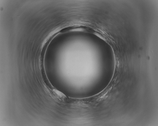 X0000071820244200607141642