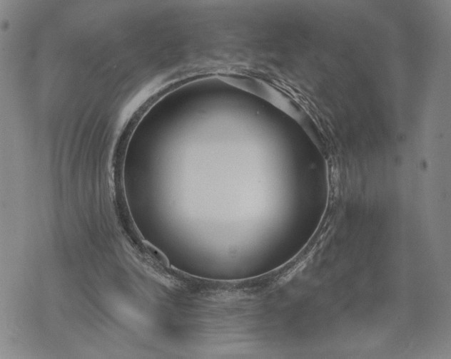 X0000071820246200607141642