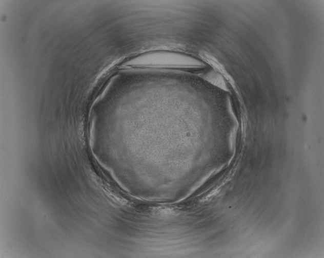 X0000071820249200607141642