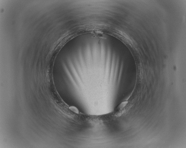 X0000071820258200607141642