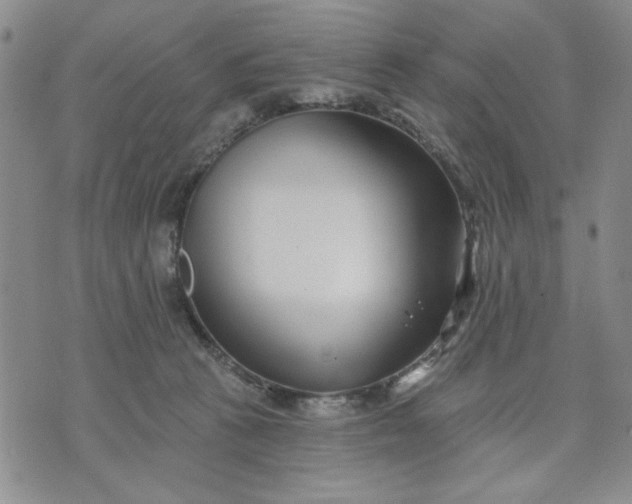 X0000071820273200607141643
