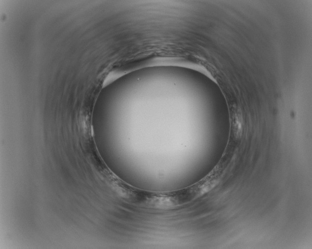 X0000071820276200607141643