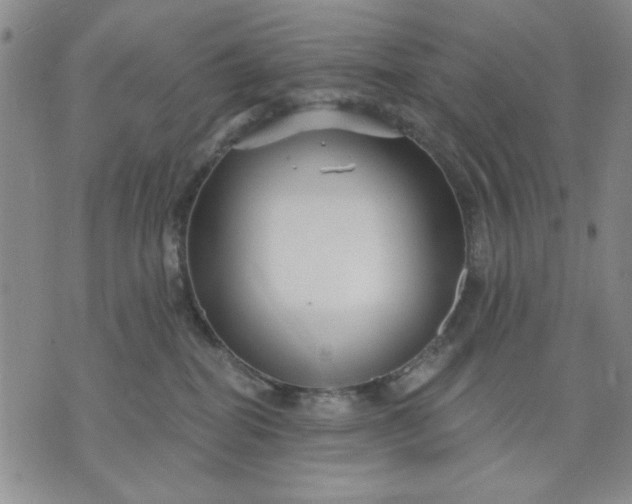 X0000071820282200607141643