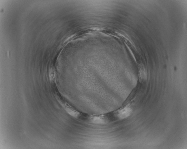X0000071820285200607141643