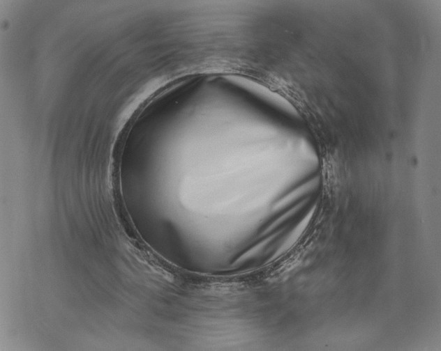 X0000071820292200607141642