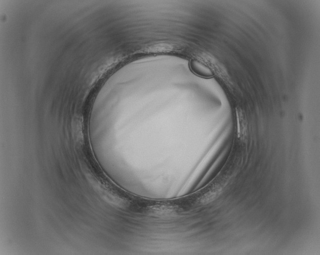 X0000071820300200607141642