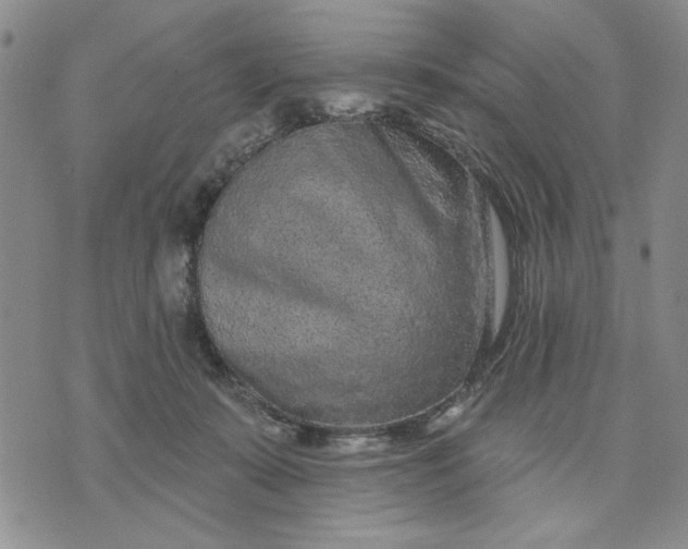 X0000071820319200607141642