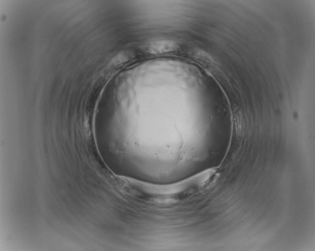 X0000071820327200607141641