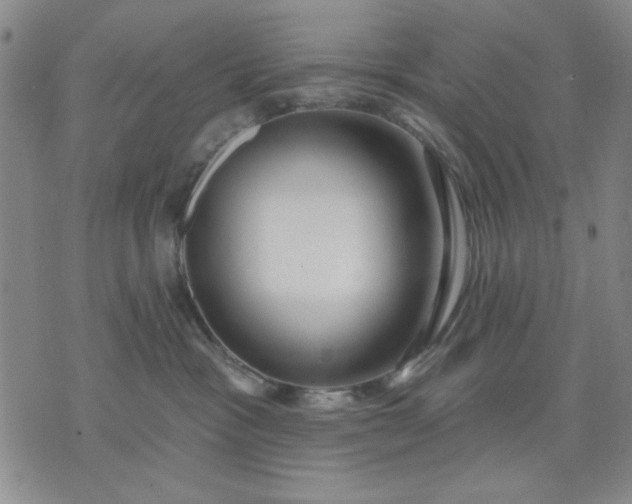 X0000071820333200607141641