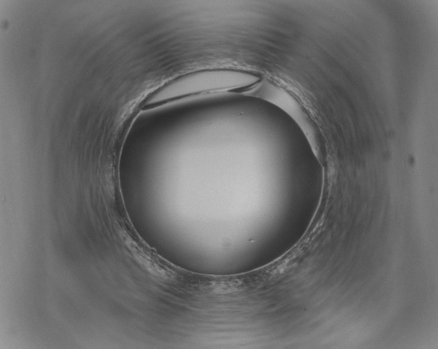 X0000071820345200607141641