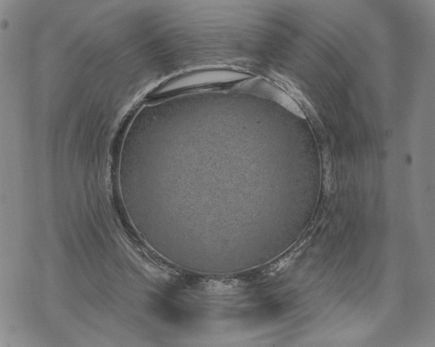 X0000071820346200607141641