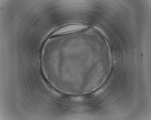 X0000071820349200607141641