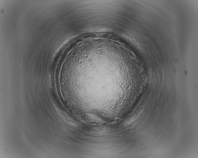 X0000071820351200607141641
