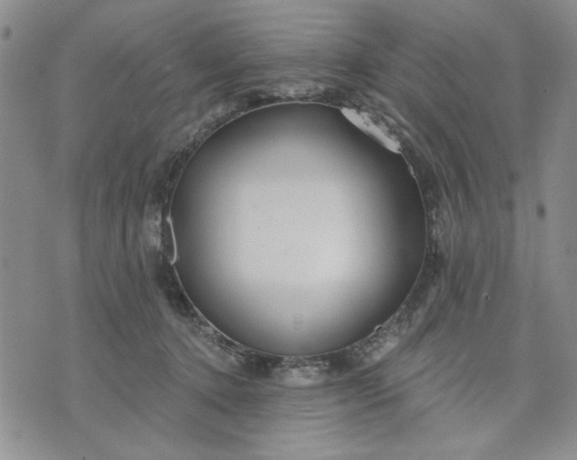 X0000071820368200607141641