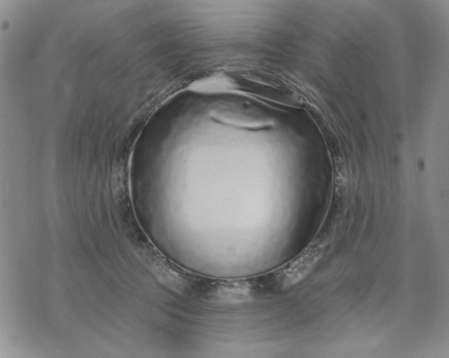 X0000071820369200607141641
