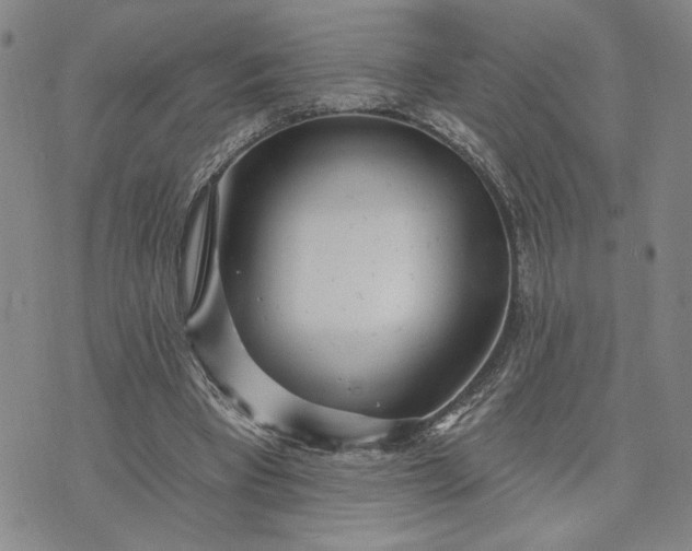 X0000071820393200607141640