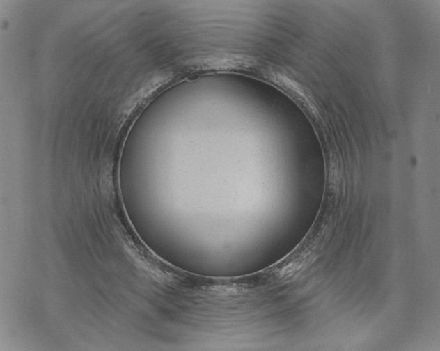 X0000071820394200607141640