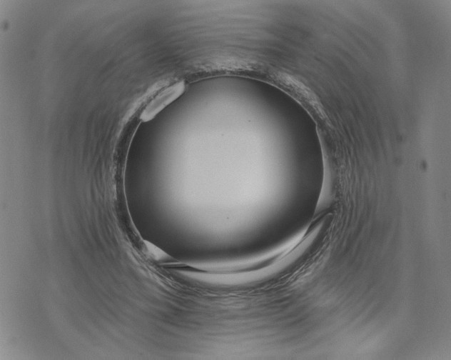 X0000071820395200607141640