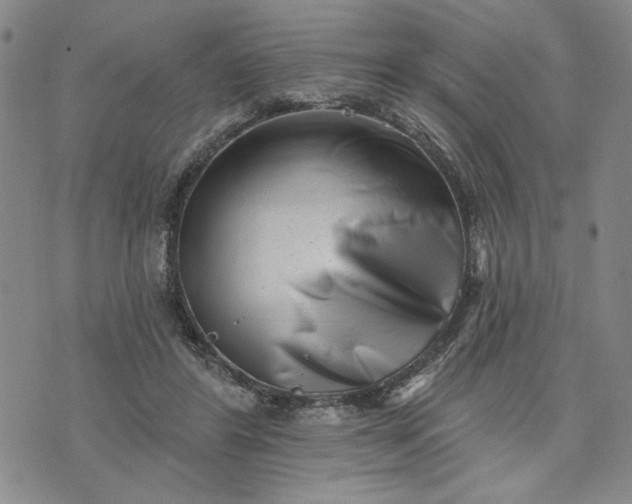 X0000071820404200607141640