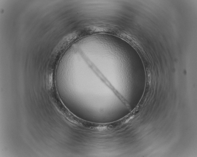 X0000071820406200607141640