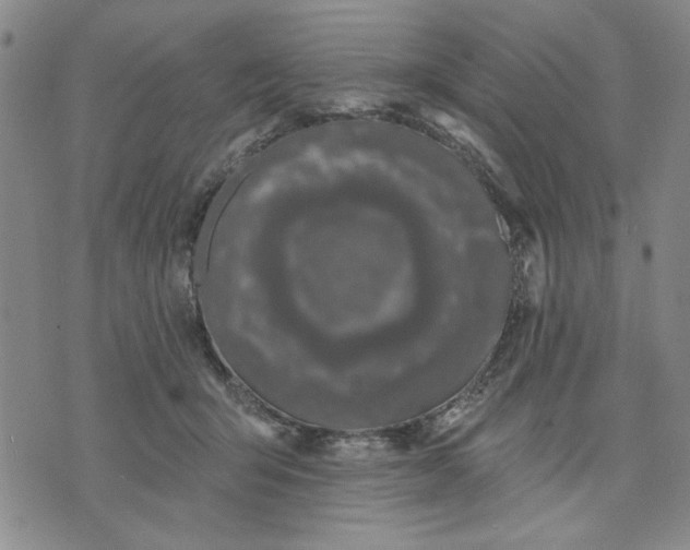 X0000071820415200607141640