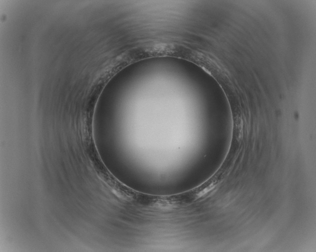 X0000071820416200607141640