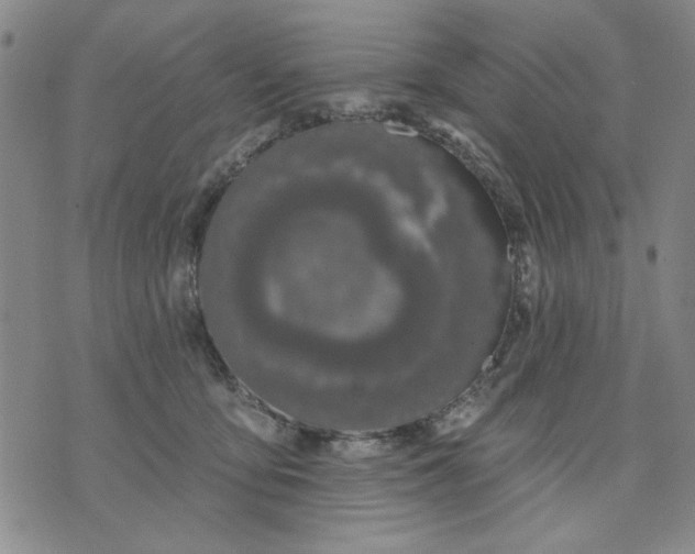 X0000071820419200607141640