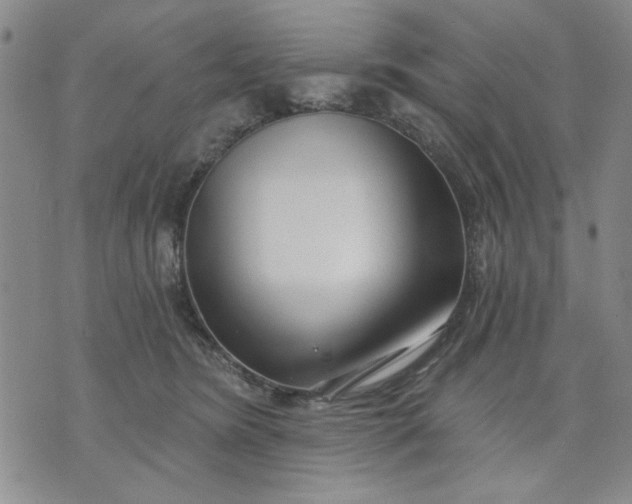 X0000071820420200607141640