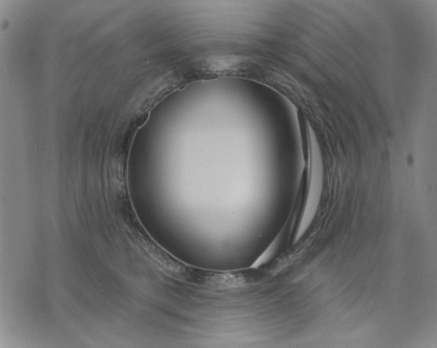 X0000071820421200607141640